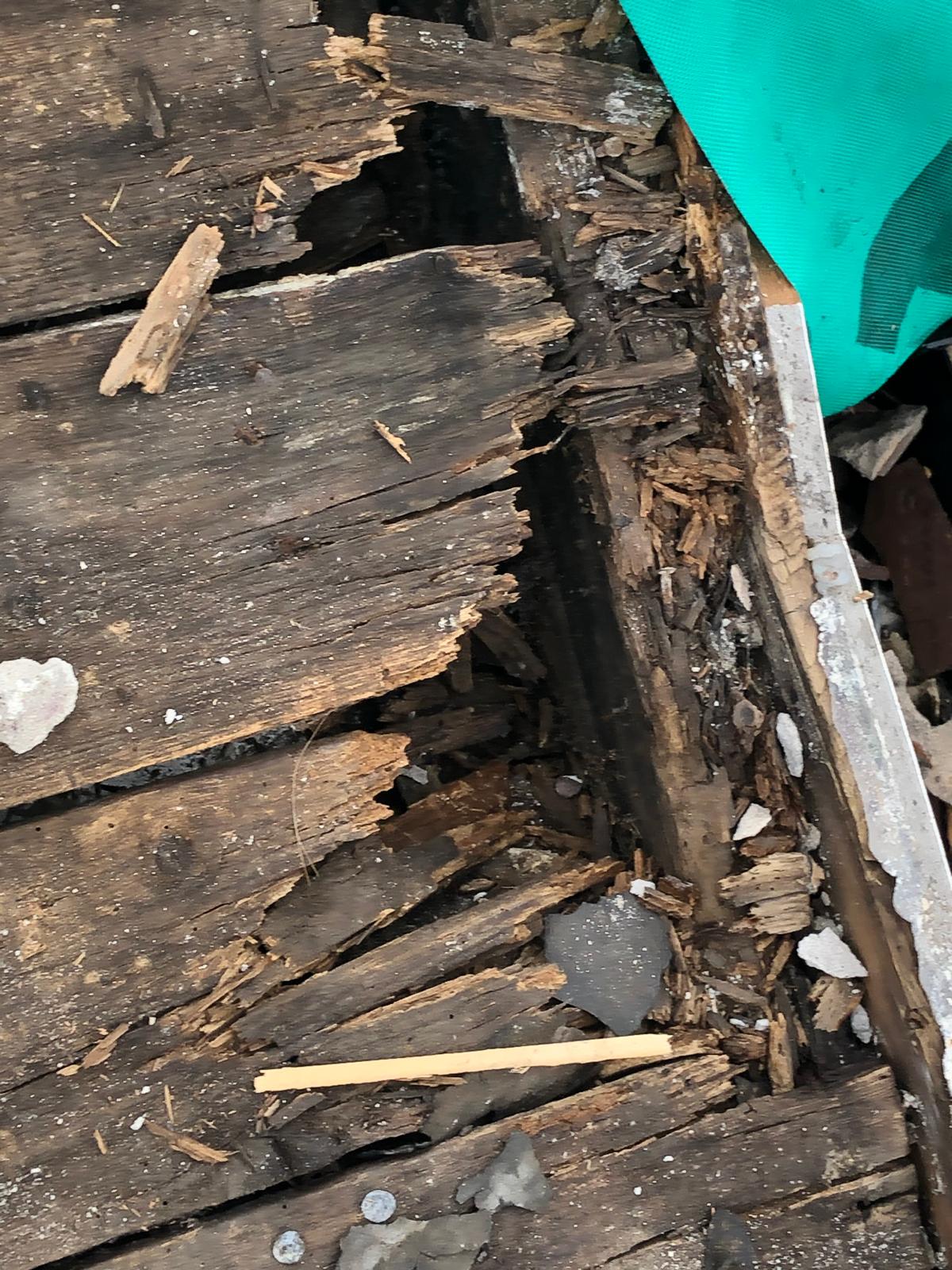 Dry / Wet Rot